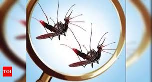 Turn on your flashlight and hold it flat against. Mosquito Killer Machine Mosquito Killers And Fly Catchers To Make Your House Totally Insect Free Most Searched Products Times Of India