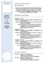 Algunos ejemplos que se suelen incluir en este apartado son el nivel de dominio en programas informáticos como photoshop o microsoft. Plantilla De Curriculum Vitae Basico Sin Experiencia Modelos De Curriculum Vitae Ejemplos De Curriculum Vitae Curriculum Vitae