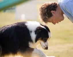 Animal Behaviorist | explorehealthcareers.org