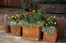 How to build a 4x4 post planter box. How To Pot A Plant And Create A Container Garden This Old House