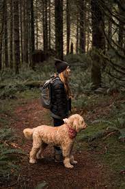 Find goldendoodle puppies for sale with pictures from reputable goldendoodle breeders. Just A Girl And Her Goldendoodle Pup Seattle Wa Pacific Northwest Hike In Washington With A Goldendoodle Adventure Bo Hiking Dogs Adventure Goldendoodle