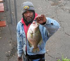 Fishingbooker.com has been visited by 10k+ users in the past month The Black Crappie State Record That Wasn T Lake County Record Bee