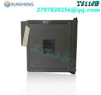 ICS TRIPLEX T8290C Expander Interface Module-Shanxi Runsheng