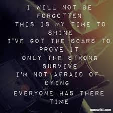 You Re Not My Kind Five Finger Death Punch The Pride By Five Finger Death Punch Punch Quote Band Quotes Music Lyrics