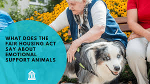 Fast, simple & secure process to get an emotional support animal letter you can trust What Does The Fair Housing Act Say About Emotional Support Animals
