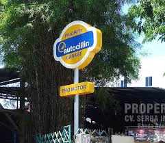 Ingin memiliki pagar rumah minimalis yang berbeda dari biasanya? Jasa Pembuatan Pagar Besi Minimalis Cv Serba Indah Banda Aceh