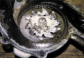 Anjing diduga di perkosa, organisasi pecinta satwa bakal laporkan ke polda sulsel. Memeriksa Kerusakan Water Pump Montirpro Com