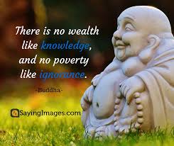 30 Best Knowledge Quotes Ultima Status