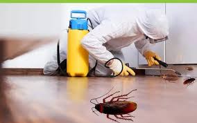 Well, you can help that bait work more effectively by eliminating other food sources. Cockroaches Pest Control Services Cockroaches Pest Control Services Indian Pest Control Company New Delhi Id 20874288862