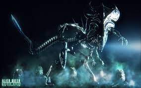 Futuristic fantasy art xenomorph predators artwork aliens. Alien Queen Wallpapers Wallpaper Cave