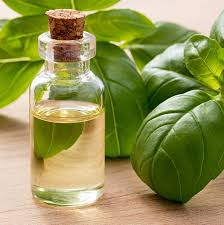 Huile essentielle de basilic tropical : quand l'utiliser ? - Essentiel des huiles