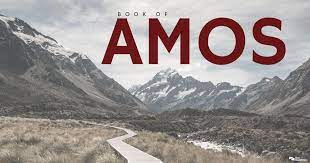 He prophesied in israel at the great cult center of bethel, from which he was finally expelled by the priest in charge of this. Summary Of The Book Of Amos Bible Survey Gotquestions Org
