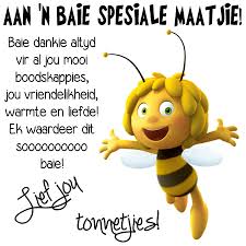 Aan N Baie Spesiale Maatjie Baie Dankie Altyd Vir Al Jou Mooi Boodskappies Jou Vriendelikheid Warmte En Liefde Baie Dankie Special Quotes Afrikaans Quotes