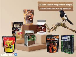 Buah buahan untuk burung tledekan. 10 Rekomendasi Voer Terbaik Yang Sehat Dan Bergizi Untuk Makanan Burung Berkicau Cekresi Com