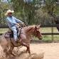 2-Day Phil Webb Horsemanship & Cutting Clinic  event image