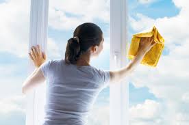 Fenster Reinigen Wohnungsreinigung
