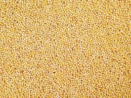 Since 1921, millet has been assisting those who write mountaineering history: Organic Hulled Millet White Proso Grain Place Foods
