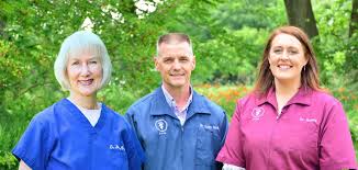 Visit our animal hospital for our $45 pet exam! Veterinarian In Crystal Lake Illinois Mchenry County S Leading Small Animal Veterinary Hospital