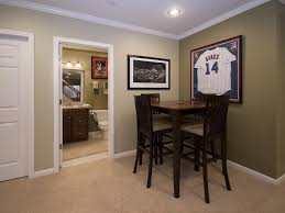 Get inspiration with these beautiful basement remodels from designer/blogger homeowners. Basement Bathroom Ideas Hgtv