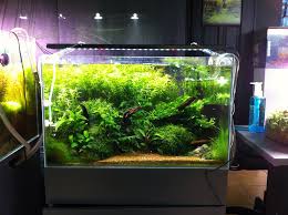 Flickr Photo Sharing Nature Aquarium Planted Aquarium Cool Fish Tanks