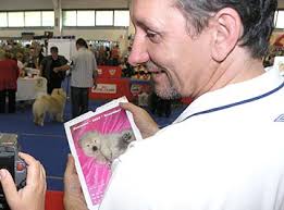 Austria, Tulln (NetChows.com Chow-Chow Shownews)