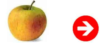 Une perte de poids durable qui c'est un changement profond des habitudes alimentaires, qui aboutit à une modification du poids en douceur mais durable, commente béatrice. Que Manger Pour Maigrir 10 Astuces