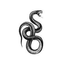 Serpent Snake Tattoo Design Snake Tattoo Serpent Tattoo