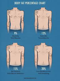 the skinny guys guide to body fat percentage bony to beastly