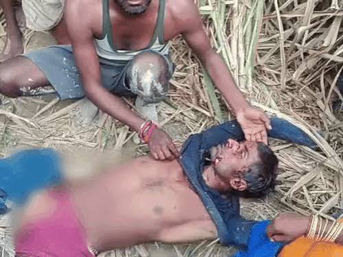 Leopard kills farmer in Lakhimpur, villagers refuse post-mortem till capture