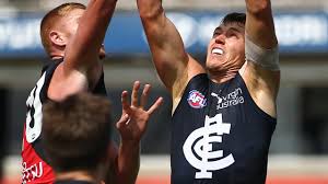 Northampton (wa)/east fremantle brownlow medal votes: Patrick Cripps Mullet The Fishy Phone Call That Changed It All Afl Round 12 Recap News And Latest Betting Odds