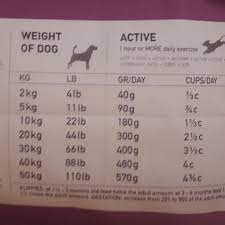 Voerwijzer Com Pagina 3 Alles Over Gezonde Voeding Voor Hond En Kat