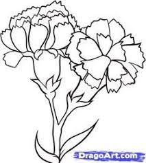 How To Draw Carnations Step 6 Flower Drawing Tutorials Flower Drawing Drawings