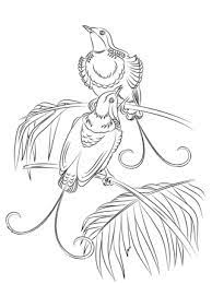 King Of Hollands Bird Of Paradise Coloring Page Supercoloring Com Bird Coloring Pages Lion Coloring Pages Coloring Pages