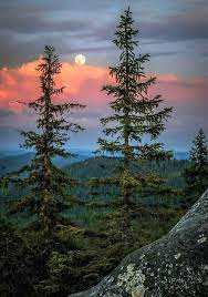 Beautiful Nepal Beautiful Landscapes Nature Photography Beautiful Nature
