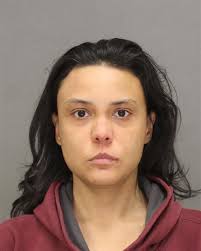 Green Bay Crime Reports: Daily Arrest Records