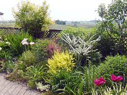 Maybe you would like to learn more about one of these? Ecran De Verdure Du Jardin Dans Ma Vie