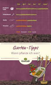 Liste für basisausrüstung pflanzkalender upcycling im garten jetzt tipps kennenlernen! Wann Pflanze Ich Was Im Garten Unsere Infografik Zeigt Dir In Einem Ersten Uberblick Welche Pflanzen Du Wann Ziehen Bzw Aussa Pflanzen Pflanzkalender Garten