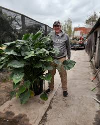 More pics of our incredible team!