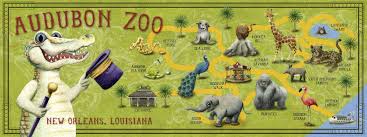 They Went On Down To The Audubon Zoo And They All Aksed For You New Orleans Louisiana With Images Audubon Zoo Zoo Map New Orleans