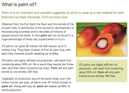 Malaysian palm oil's versatility can be seen across diversities of food, culture, and society. History And Background Is Palm Oil Good For Malaysia