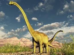 Long de 37 mètres, il dépasse en taille la baleine bleue ; Dinosaures Les Plus Lourds Diplodocus Brachiosaure Apatosaure Pratique Fr