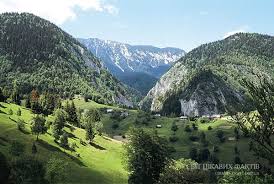 Картинки по запросу село карпати