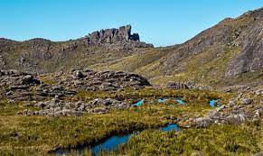 A baixa, onde fica a sede e o museu, com acesso a partir da via dutra, perto de itatiaia, e a alta. Parque Nacional Do Itatiaia Reabre Nesta Quarta Feira Destinos