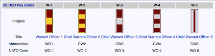 25 Qualified Cw4 Pay Chart