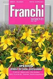 Hyperici perforatum nome in inglese: Johanniskraut Iperico Erba Di San Giovanni 6350 75 50 Italienische Samen
