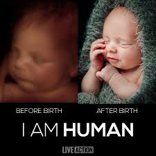 A baby inside the womb is just as human as a child outside the womb. Why  discard one and love the other?