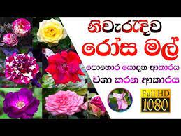 Pin On Planting
