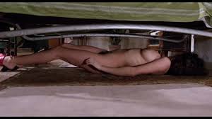 多娜泰拉达米亚妮 意大利艳星