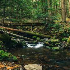 Black diamond camps has been blessed with one of the most beautiful venues in w. Black Diamond Adventure Camps Home Facebook