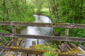 Modrig Alte Brucke In 2020 Feuchtbiotop Kopfweide Alte Brucke